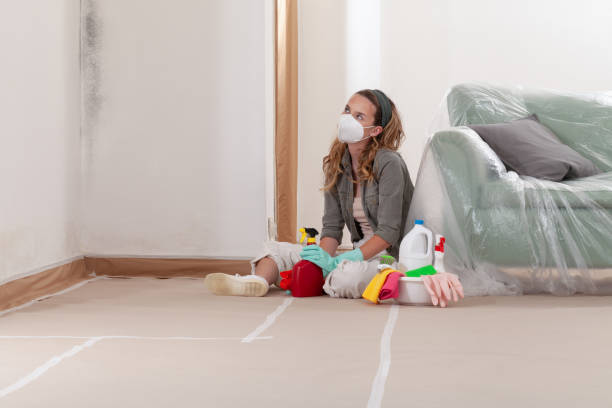 Reliable Mold Remediation contractor in Richmond, TX by Mold Remediation HQ